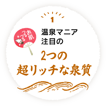 1 温泉マニアおすすめの超リッチな泉質