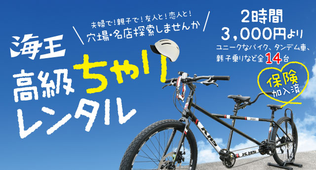 海王高級ちゃりレンタル