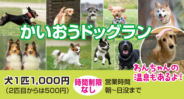 かいおうドッグラン